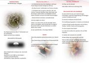 Flyer_Alia Weindel_aussen.jpg